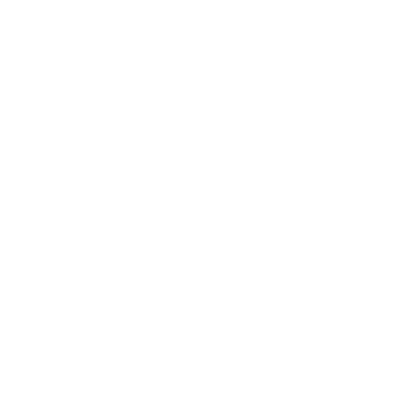 Jr. 3SSB — Jr. 3Stripes Select Basketball